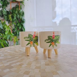 Cachepot Vaso de Cerâmica